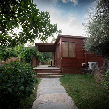 El Jardin Del Eden Villa Orgiva Buitenkant foto